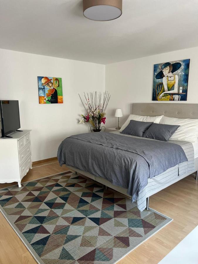 Schweiz Apartamento Basileia Exterior foto